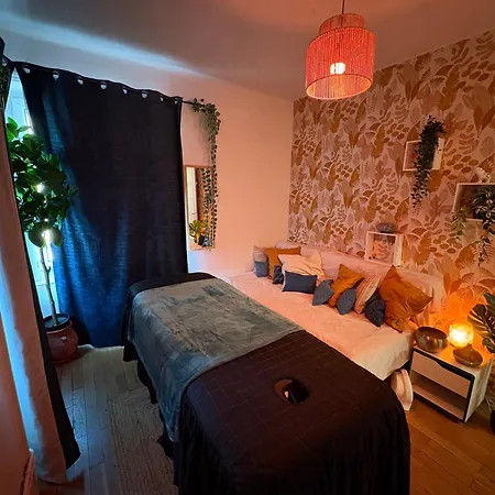 Calme Cosy Avec Wi-fi Pres Du Parc * Caluire-et-Cuire