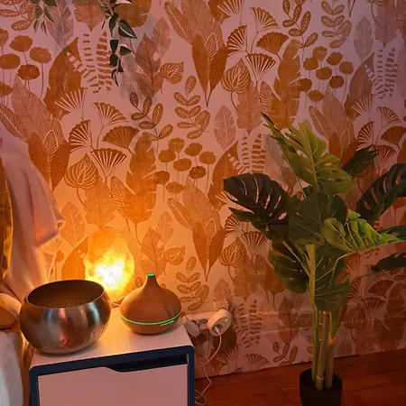 Séjour chez l'habitant Calme Cosy Avec Wi-fi Près Du Parc